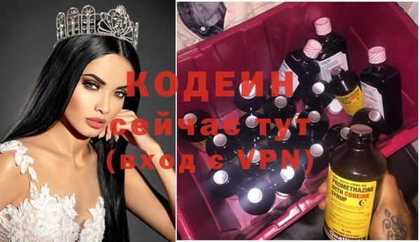 ECSTASY Алзамай