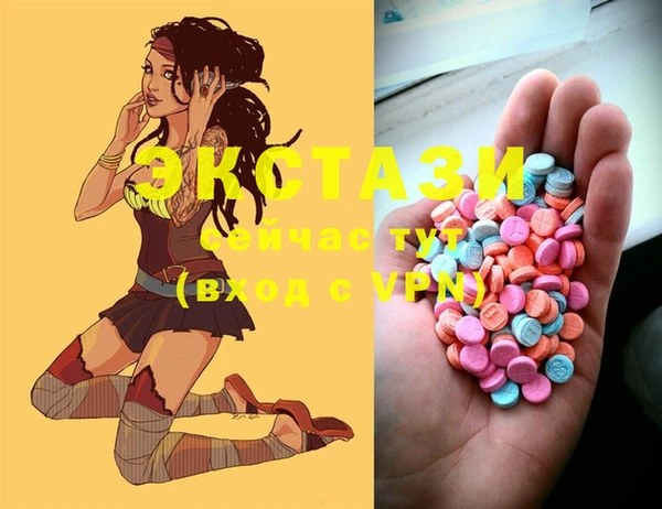 ECSTASY Алзамай