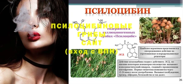 ECSTASY Алзамай